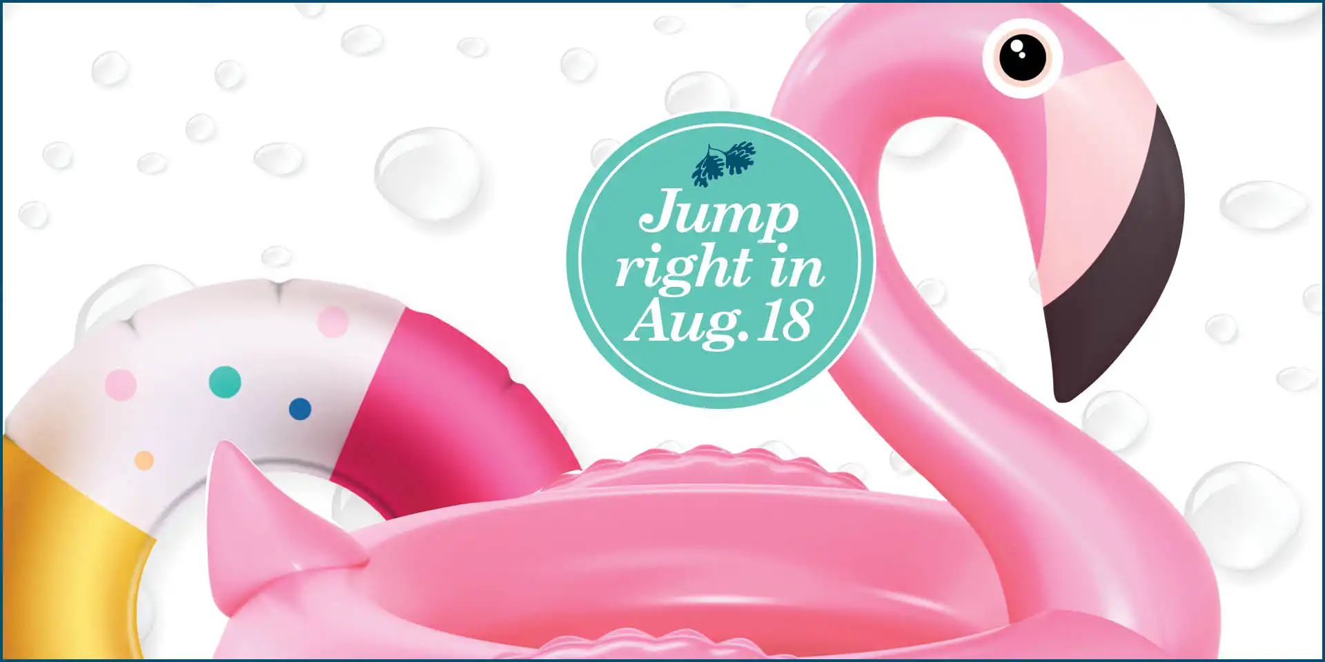Jump right in August 18